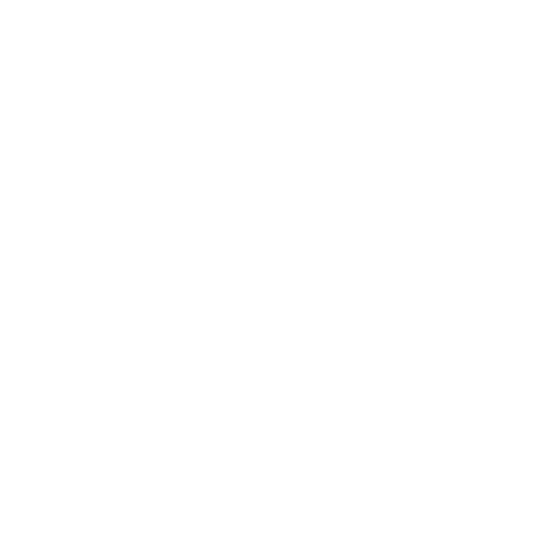 rayus logo